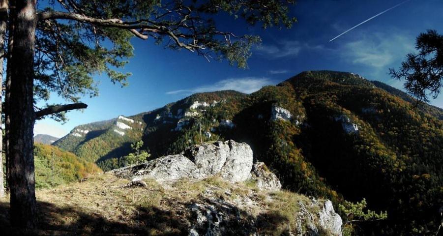Drevenica Pod Tlstou Konuk evi Blatnica Dış mekan fotoğraf